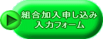 ���̓t�H�[�� 